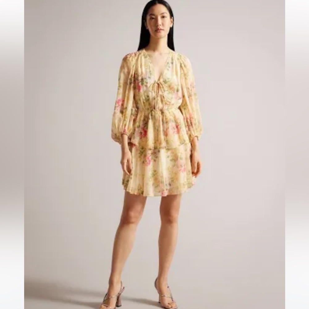 TED BAKER London V Neck GGT Tamziiy Printed Tie Front Mini Dress Size 1,…